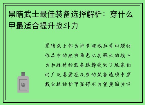 黑暗武士最佳装备选择解析：穿什么甲最适合提升战斗力