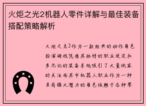 火炬之光2机器人零件详解与最佳装备搭配策略解析